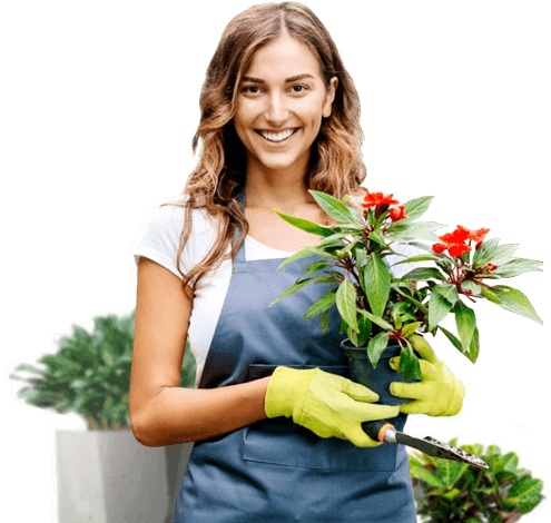 Обслуживание растений