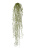 Тилландсия-паутинка Литл серо-зеленая припыленная - Фото 1