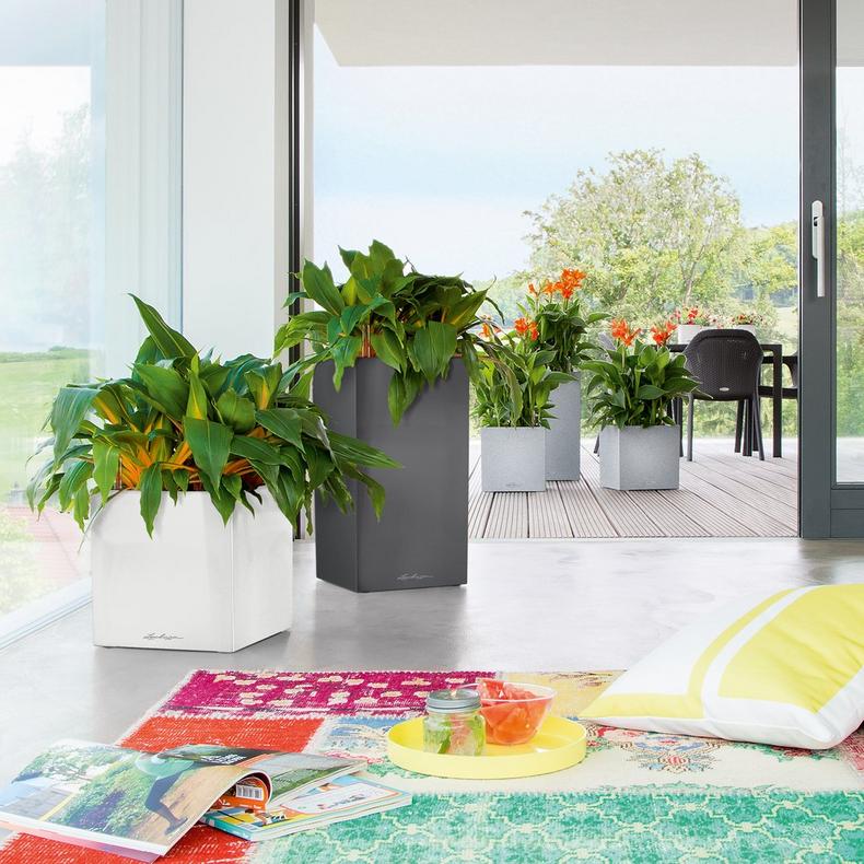 Канто Канто Премиум 40 высокий (Белый блестящий)_2