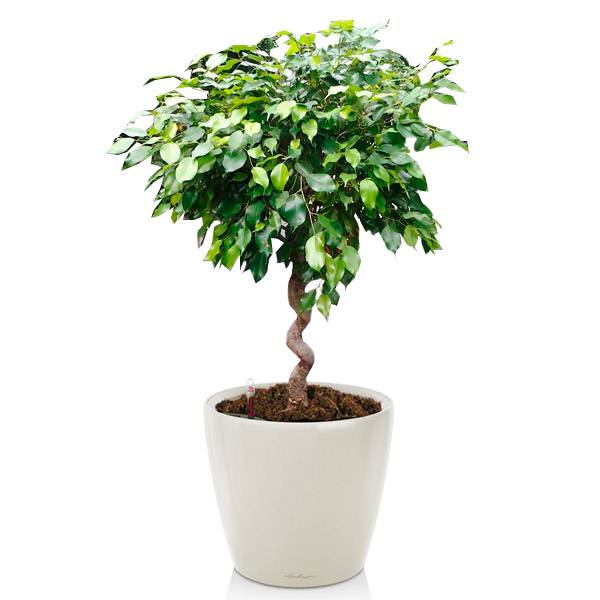 Комплект 6_3