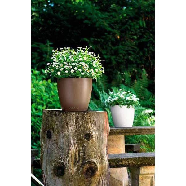 Кашпо Лечуза Классико Колор (мускат)_