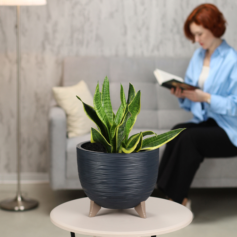 Кашпо Чаша на ножках ребристое (антрацит)_1