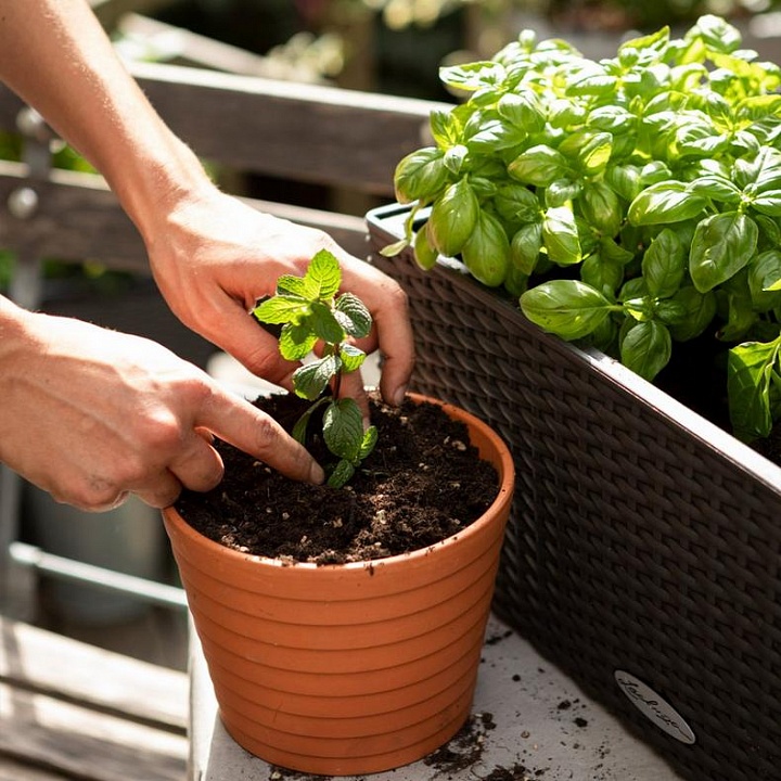 Субстрат для для овощей Лечуза Веджипон_3