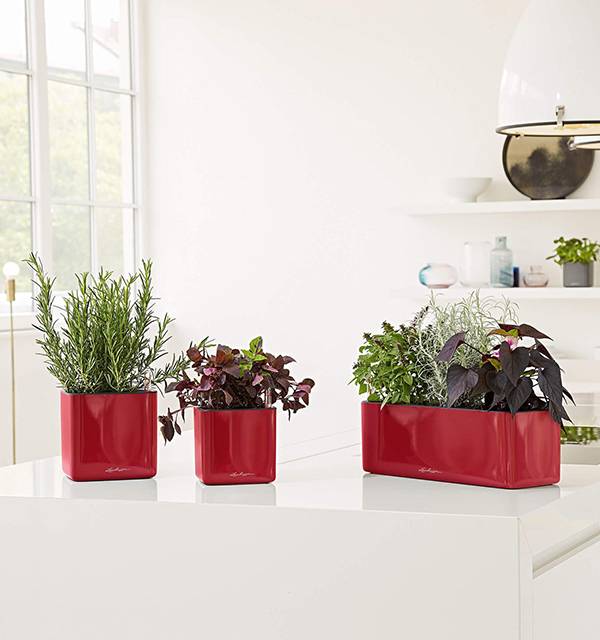 Кашпо Лечуза Куб Глосси (ярко-красный блестящий)_