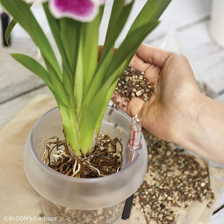 Субстрат для орхидей Лечуза Орхидпон_4