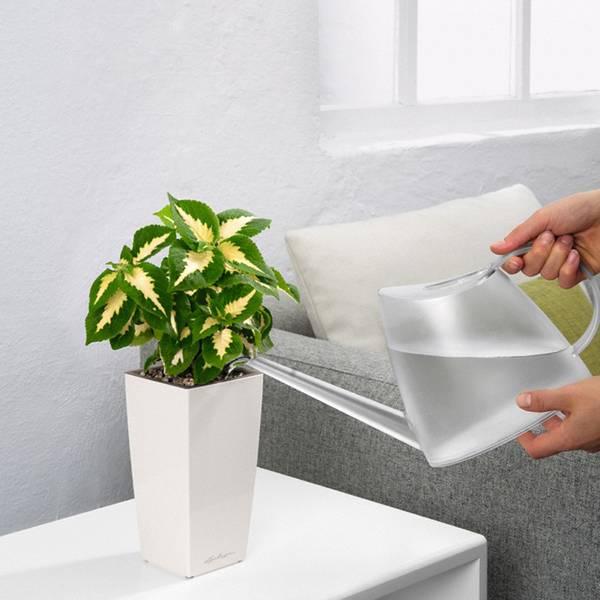 Кашпо Лечуза Кубико Колор (белый)_1