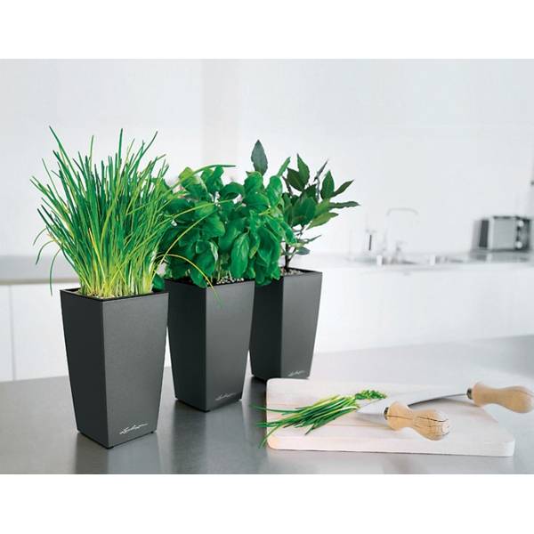 Кашпо Лечуза Кубико (антрацит)_5