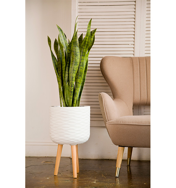  Кашпо Паттерн с Подставкой (слоновая кость)_