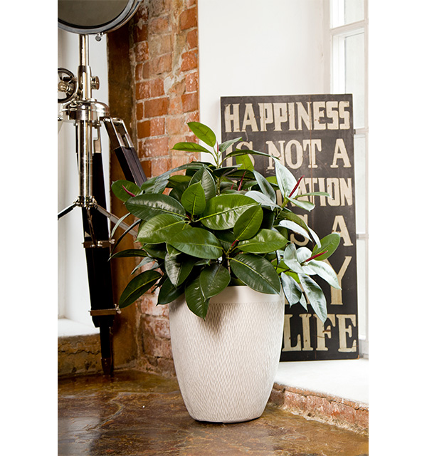 Кашпо Лотус Высокое Круглое слоновая кость_1