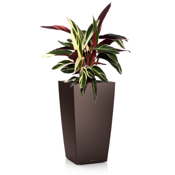 Комплект 5_1