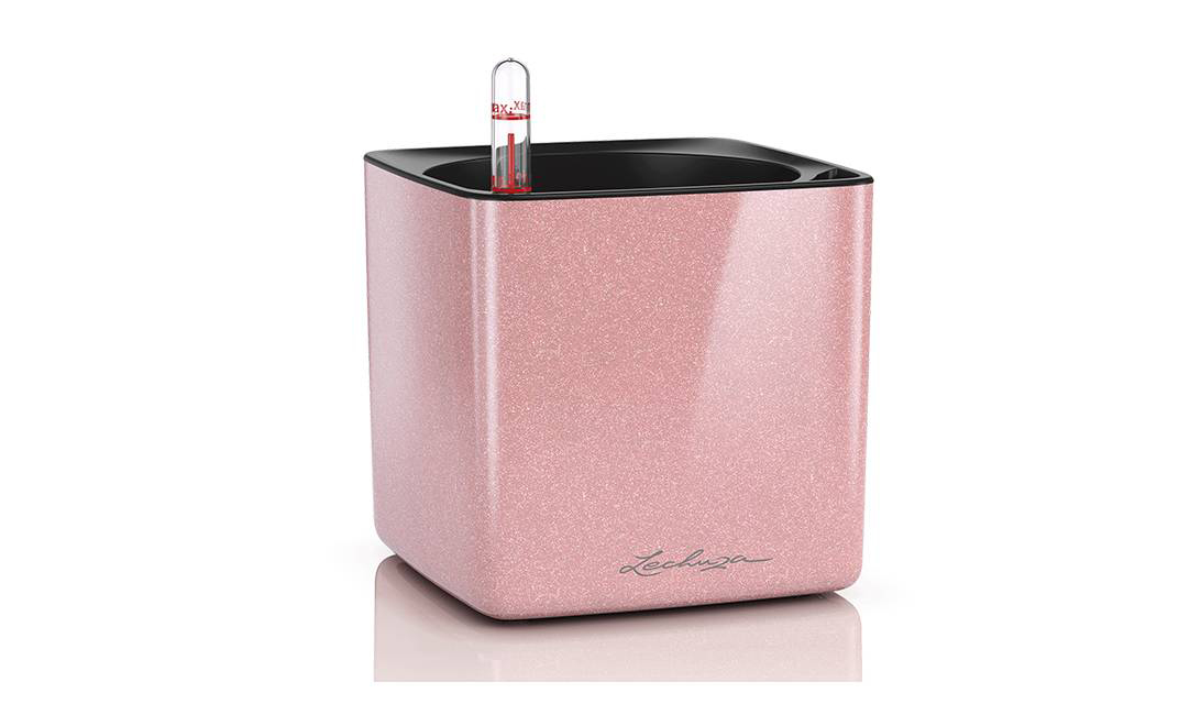 Cube Glossy Kiss Cube Glossy Kiss