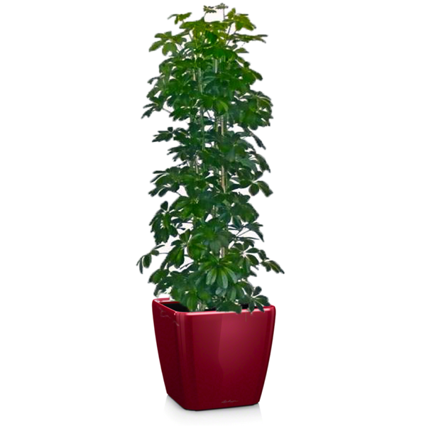 Комплект 3_3