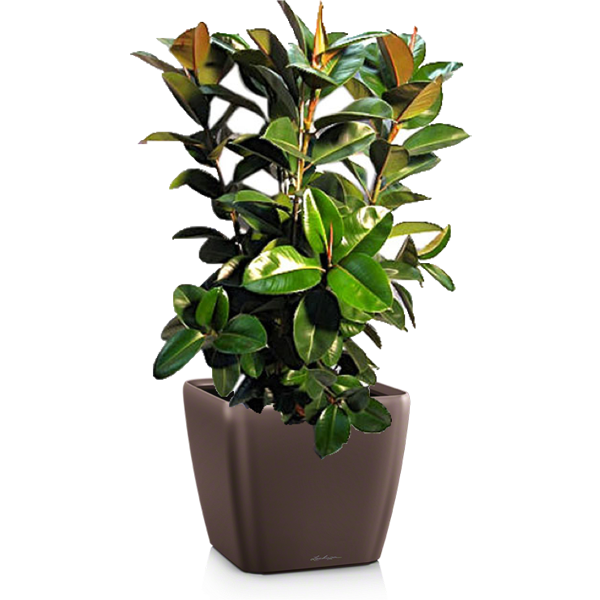 Комплект 5_2