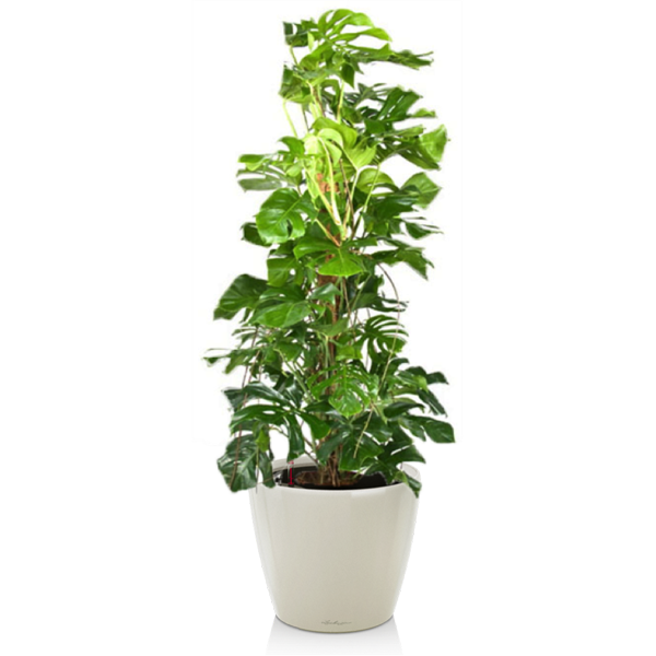 Комплект 6_4