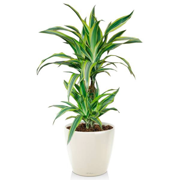 Комплект 6_7