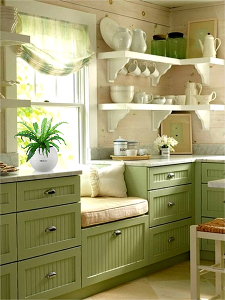 Асплемнум в кашпо Lechuza Puro Color_