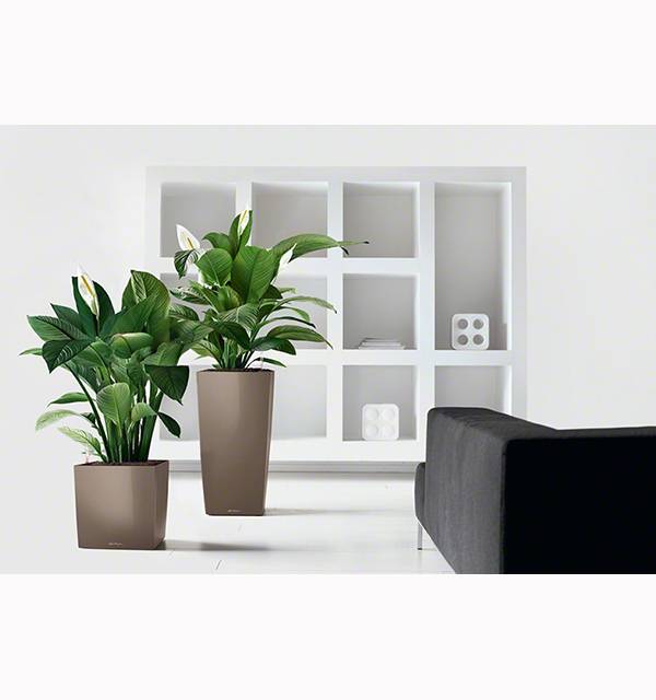 Кашпо Лечуза Куб (серо-коричневый)_