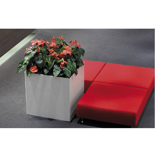 Антуриум красный_6