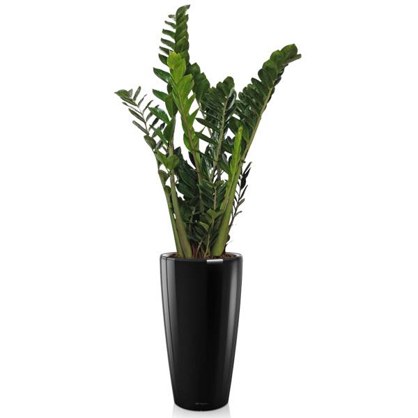 Комплект 1_2