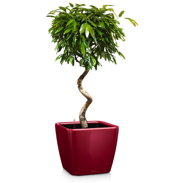 Комплект 3_2