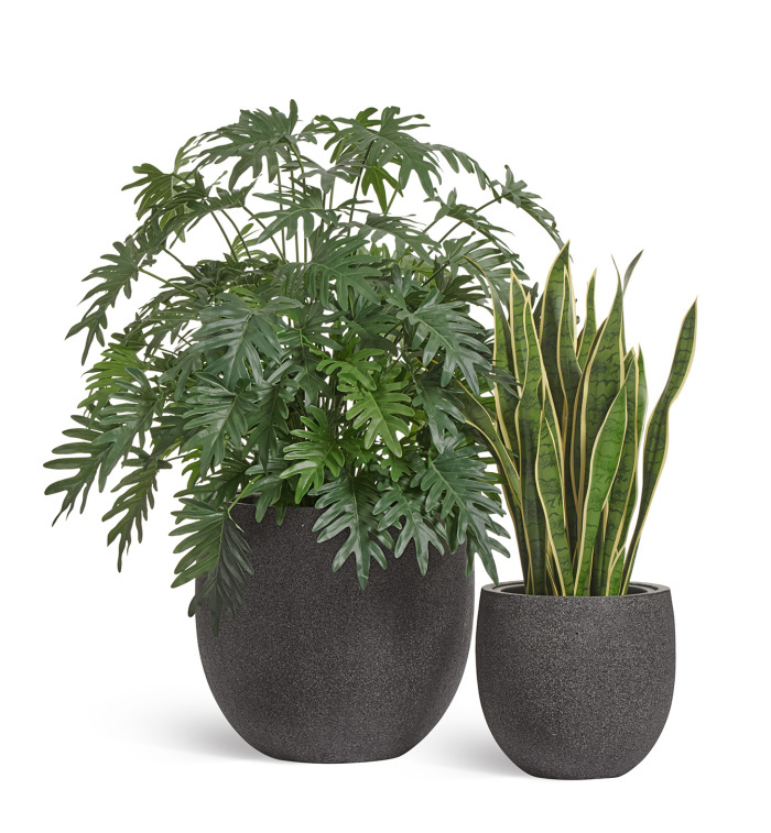 Кашпо Эффектори Стоун чаша классик темно-серый камень_4