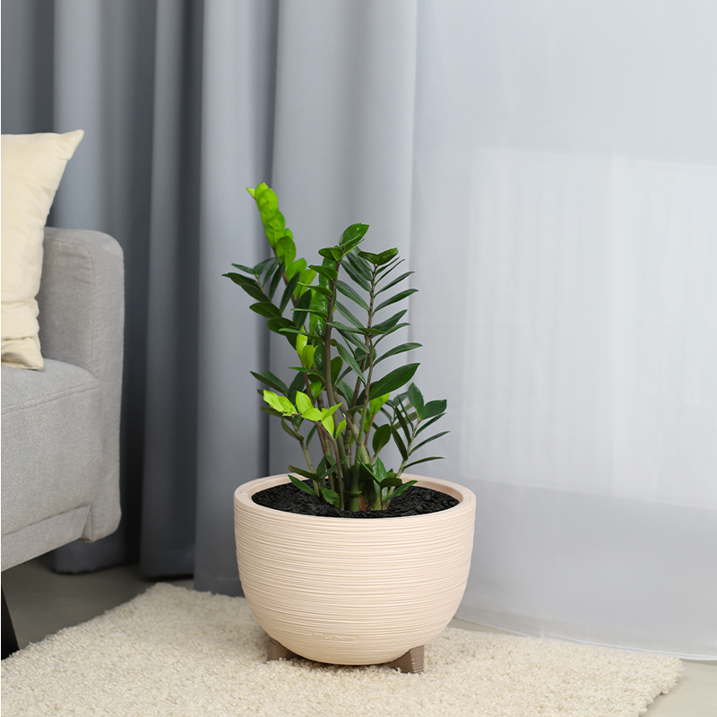 Кашпо Чаша на ножках ребристое (пудра)_5