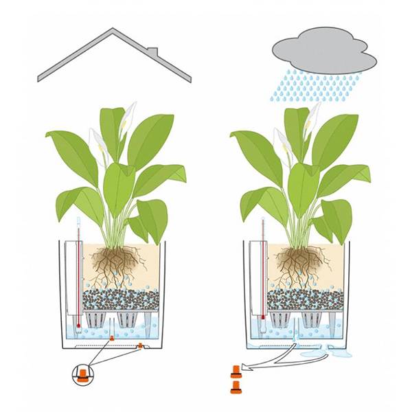 Кашпо Лечуза Куб (черный)_2