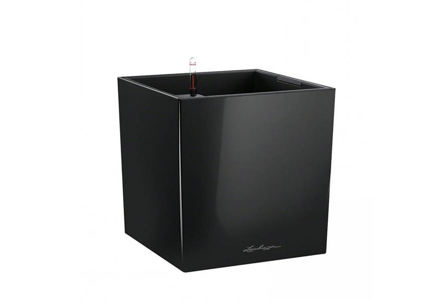 Cube Cube