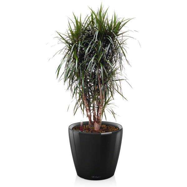 Комплект 1_3