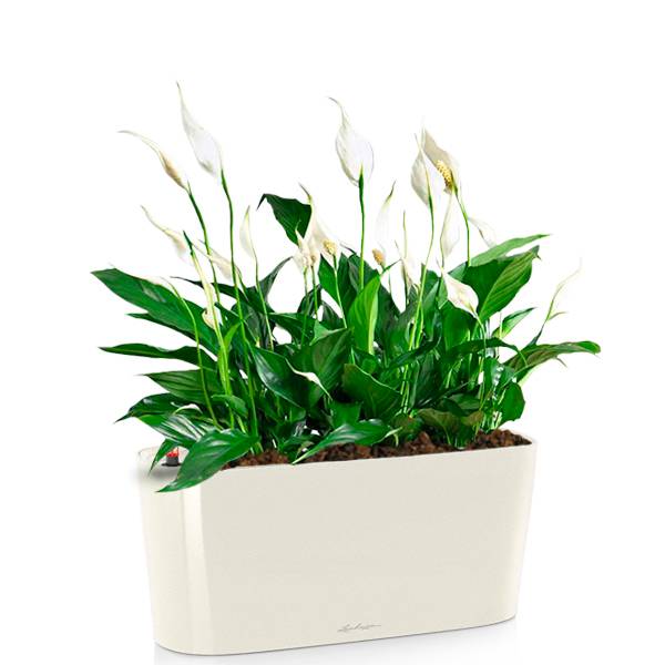 Комплект 6_8