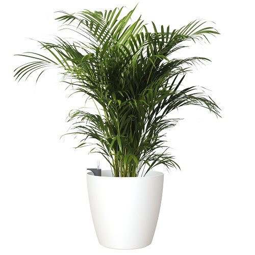 Кашпо Артевази Сан Ремо белое матовое комплект Все-в-одном с колесами_