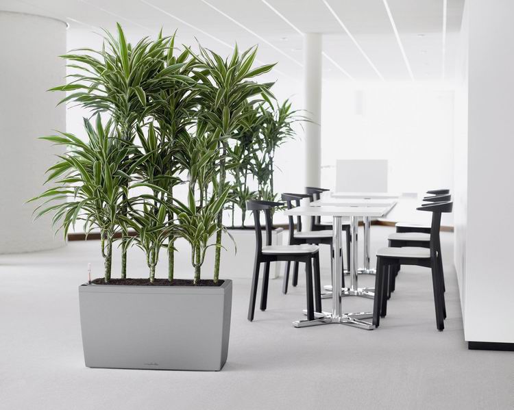 Кашпо Лечуза Караро (серебро)_1