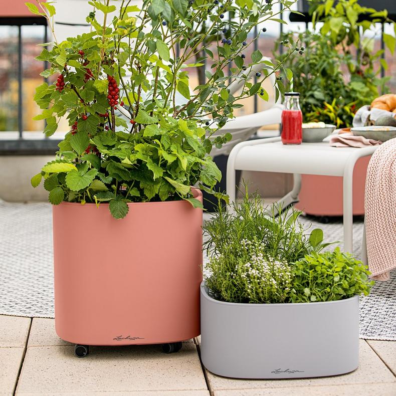 Кашпо Лечуза Пила Колор Гроупот (светло-серый)_2