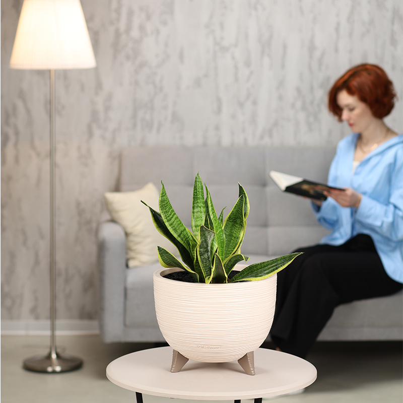 Кашпо Чаша на ножках ребристое (пудра)_4