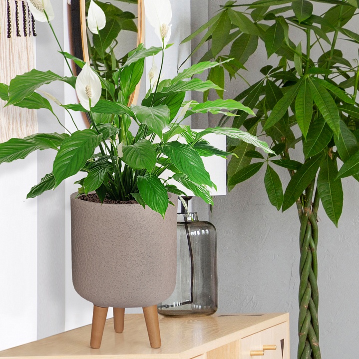 Кашпо Урбан Круглое с подставкой серо-коричневое_1