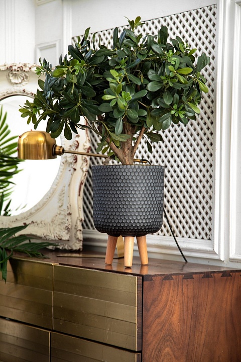 Кашпо Ханни Круглое с подставкой черное_3