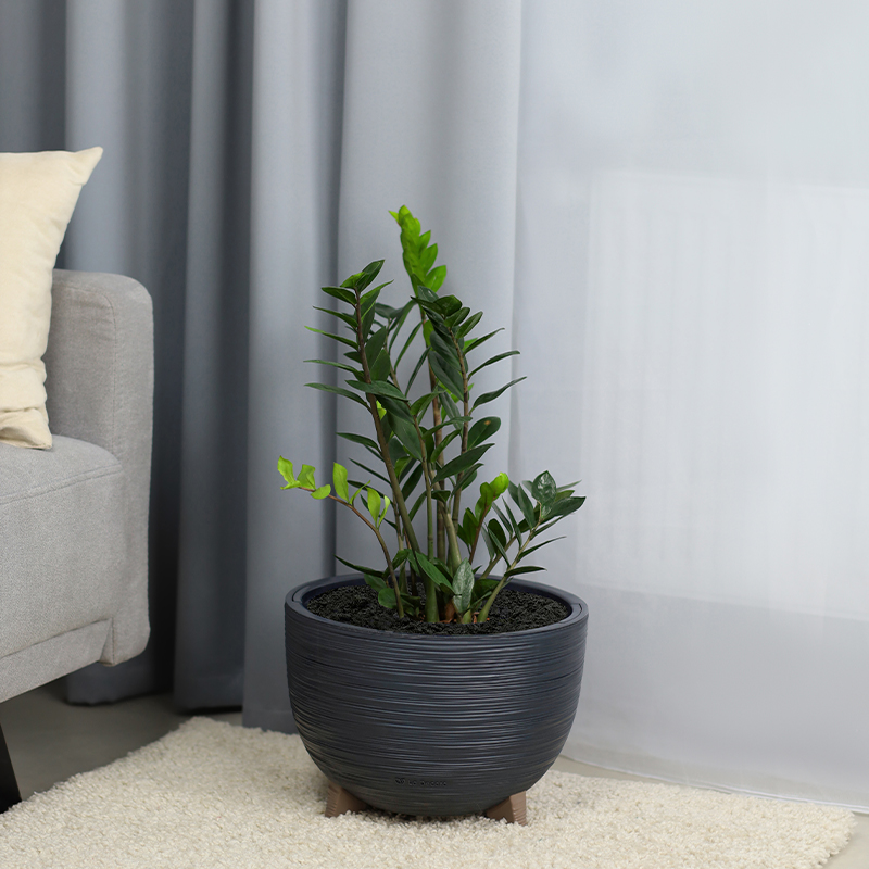 Кашпо Чаша на ножках ребристое (антрацит)_