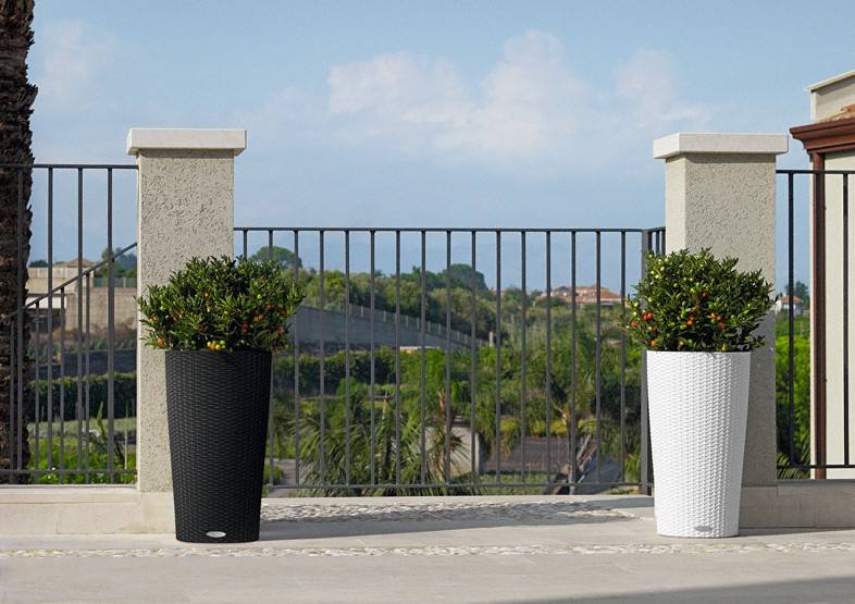 Кашпо Лечуза Цилиндро Коттадж (графитовый черный)_1