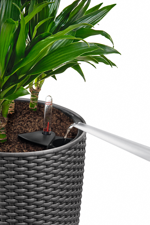 Кашпо Лечуза Цилиндро Коттадж (гранит)_2