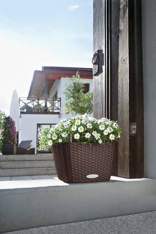 Кашпо Лечуза Бакино Коттадж  (коричневый)_2