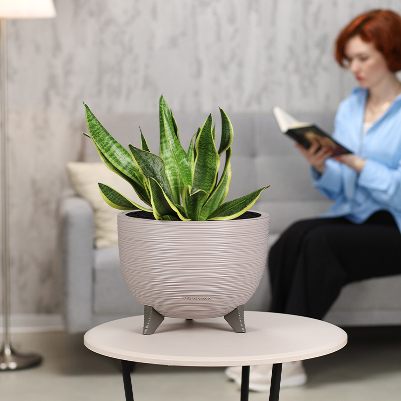 Кашпо Чаша на ножках ребристое (латте)_4