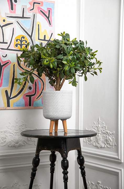 Кашпо Ханни Круглое с подставкой белое_2