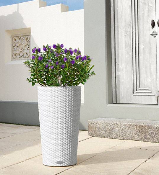 Кашпо Лечуза Цилиндро Коттадж (белый)_3