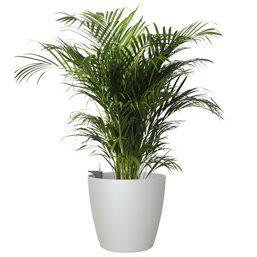 Кашпо Артевази Сан Ремо  светло-серое матовое комплект Все-в-одном с колесами_