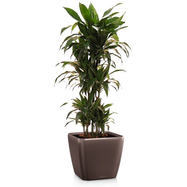 Комплект 5_4