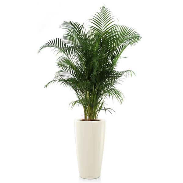 Комплект 6_2