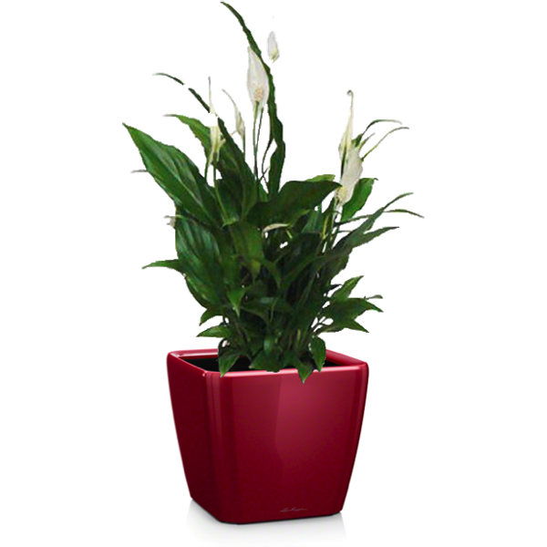 Комплект 3_1