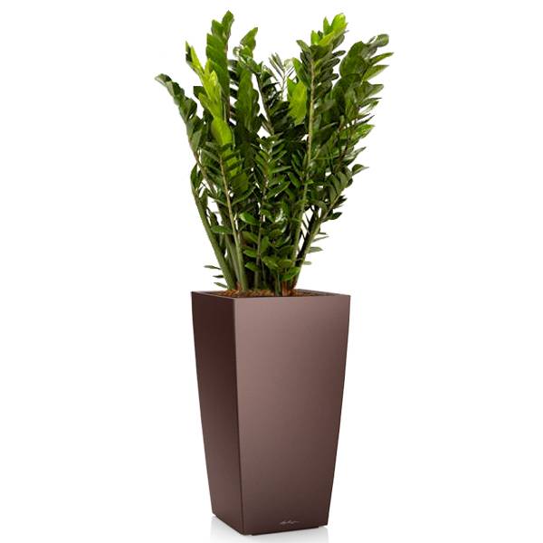 Комплект 5_3