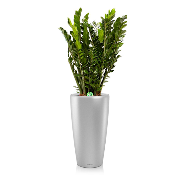 Комплект 4_3