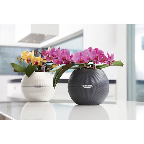 Кашпо Лечуза Пуро Колор (серый)_